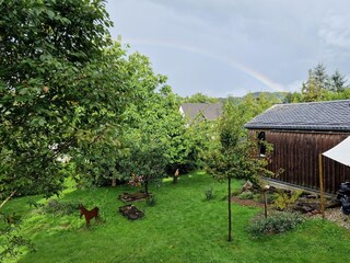 Blick in den Garten