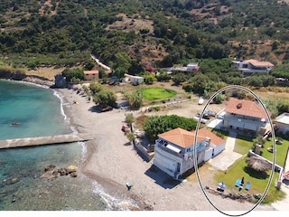 The house