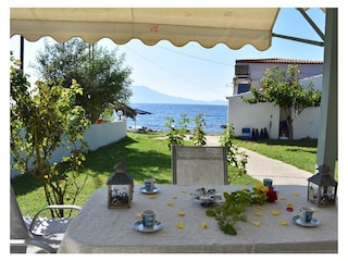 the terrace