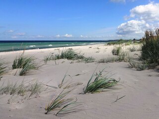 Beach of Zingst