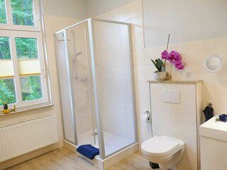 Tageslichtbad mit Dusche