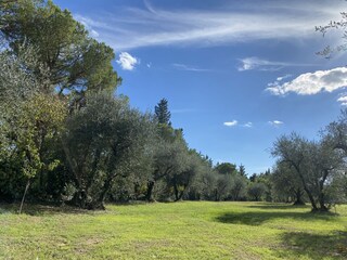 Villa Monteroni d'Arbia Buitenaudio-opname 7