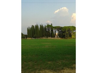 Villa Monteroni d'Arbia Environment 26