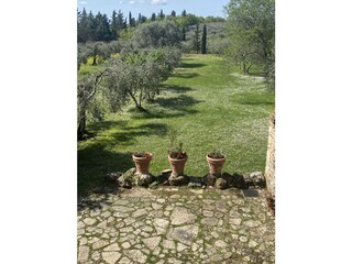 View from the house to the garden