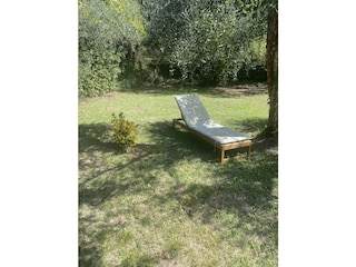 Ausruhen auf der Sonnenliege im Garten unter Olivenbäum