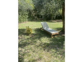 Relaxing on the sunbed in the garden under olive trees