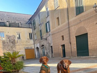 Ferienwohnung Garlenda Umgebung 26