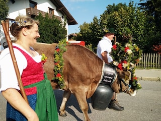 Viehscheid in Pfronten: 13./14. 09.2019