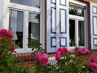 Appartamento per vacanze Dierhagen Registrazione all'aperto 2