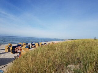 Appartamento per vacanze Dierhagen Ambiente 20