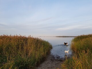 Appartamento per vacanze Dierhagen Ambiente 19