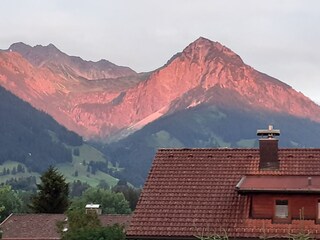 Blick aus dem Küchenfenster