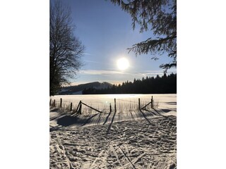 Appartamento per vacanze Bischofsheim Ambiente 16