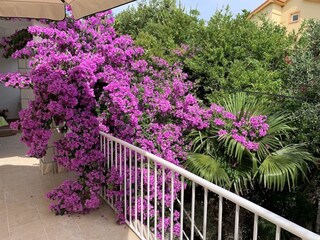 Appartamento Banjol Registrazione all'aperto 5