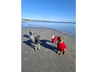 Strandausflug ohne Einschränkungen im Winter.