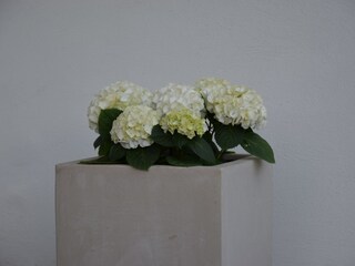 Vakantieappartement Marling Buitenaudio-opname 4