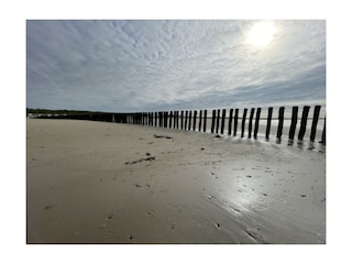 Strand von Breskens