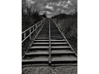 Holiday house Breskens Environment 28