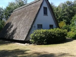 Holiday house „DIE ELF“ - Gartow am See - image1