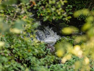 Appartamento per vacanze Wiesent Registrazione all'aperto 6