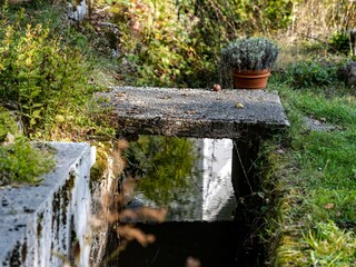 Little Birkleiten brook crosses the garden