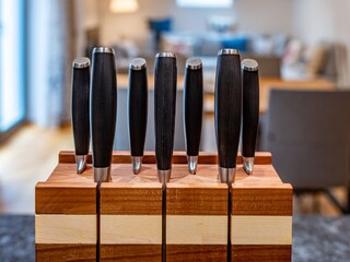 Appartement de vacances Wiesent Équipement 31