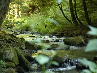 Appartamento per vacanze Wiesent Ambiente 29