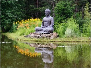 Vakantieappartement Wiesent Omgeving 35