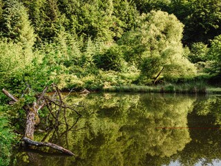 Appartement de vacances Wiesent Enregistrement extérieur 9