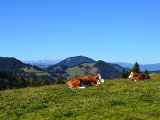 Casa per le vacanze Weiz Ambiente 27