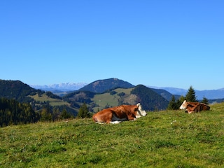 Holiday house Weiz  27