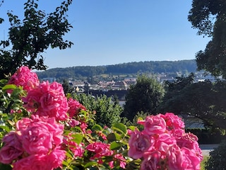 Holiday house Weiz Environment 12