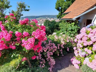 Casa per le vacanze Weiz Registrazione all'aperto 4