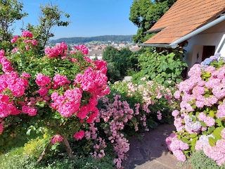 Holiday house Weiz Environment 7