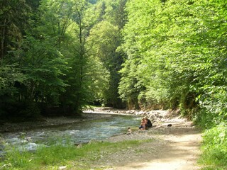 Casa per le vacanze Weiz Ambiente 26