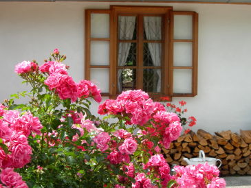 Ferienhaus Moarhofstöckl "Landromantik für Zwei"