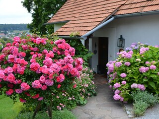 Holiday house Weiz Outdoor Recording 6