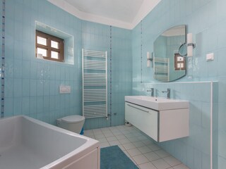 Villa Vižinada Caratteristiche 11