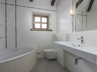 Villa Vižinada Caratteristiche 20