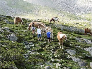 Appartamento per vacanze Lana Ambiente 17