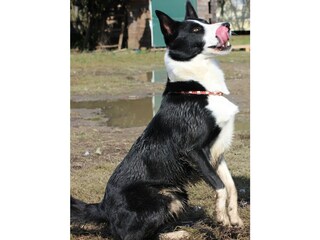 Appartamento per vacanze Lana Ambiente 21