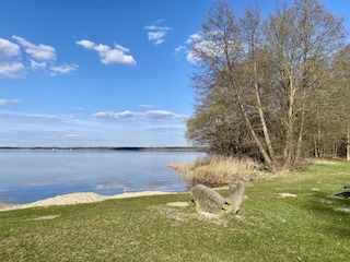Kolberger Strand am Wolziger See