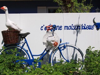 Ferienwohnung Hohwacht Außenaufnahme 3