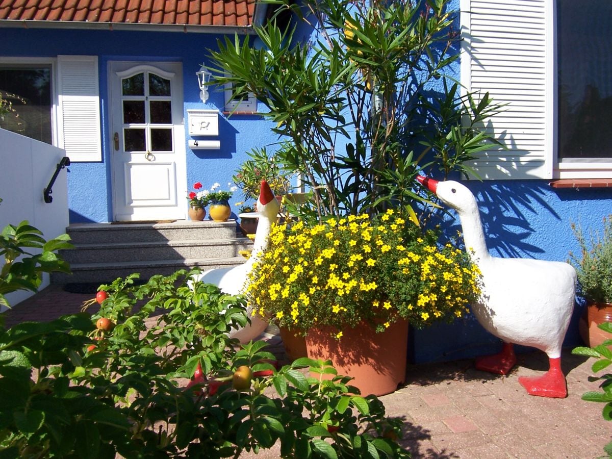 Ferienwohnung Hohwacht Außenaufnahme 1