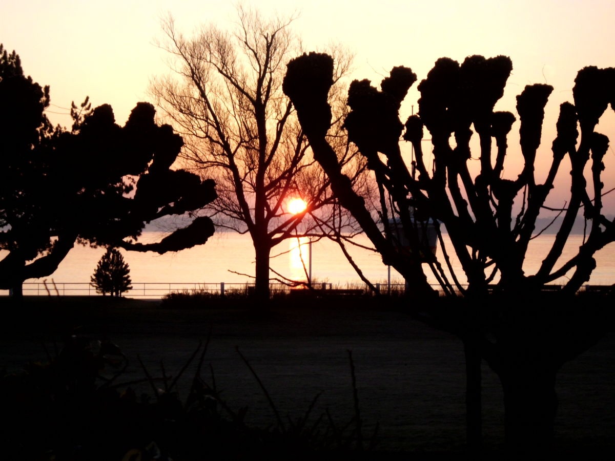 Blick von der Terrasse zur Ostsee - Sonnenaufgang