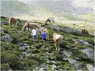 Appartamento per vacanze Lana Ambiente 16