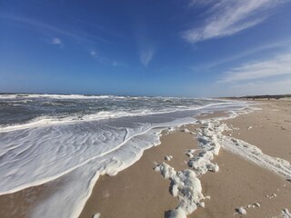 Holiday apartment Petten Outdoor Recording 8