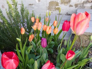 Appartamento per vacanze Petten Registrazione all'aperto 9