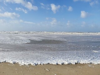 Appartamento per vacanze Petten Ambiente 28