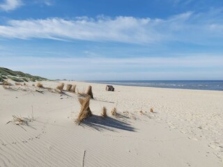 Appartamento per vacanze Petten Ambiente 29